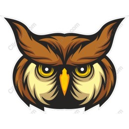 Majestic Owl