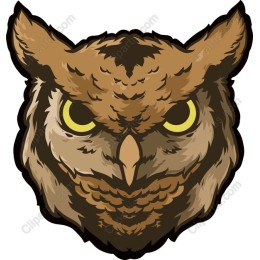 Majestic Owl