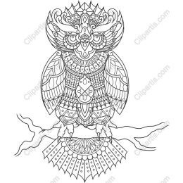 Ornate Owl