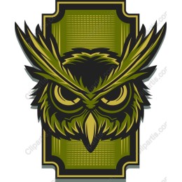 Fierce Owl