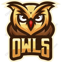 Majestic Owl