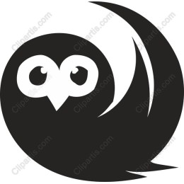Whimsical Owl