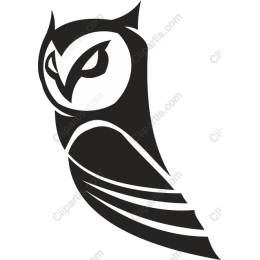 Elegant Owl