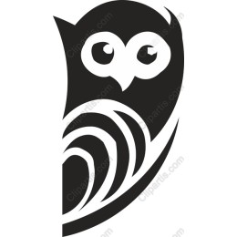 Elegant Owl