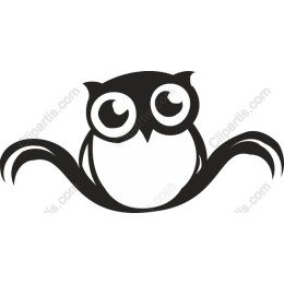 Adorable Owl