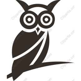 Elegant Owl