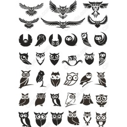 Owl Set - 36 Unique