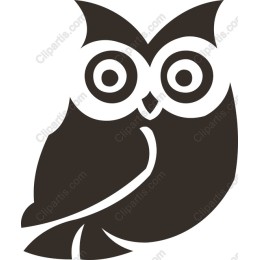 Whimsical Owl