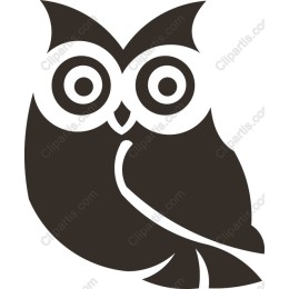 Owl in and