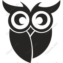 Whimsical Owl