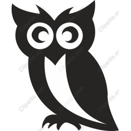Owl Wisdom