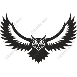 Majestic Soaring Owl