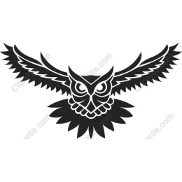 Intricate Owl