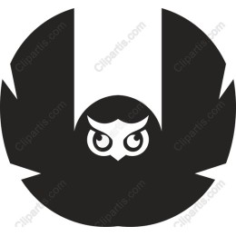 Owl Wisdom
