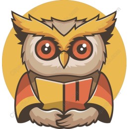 Wise Owl Reading
