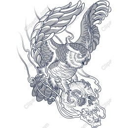 Majestic Owl and Skull