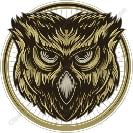 Fierce Owl