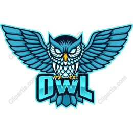 Majestic Owl