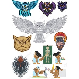 Owl & Friends Bundle