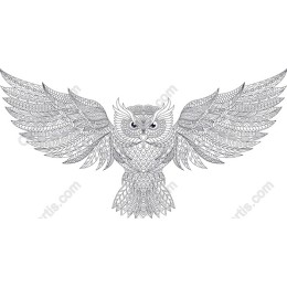 Majestic Owl