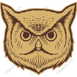 Vintage Owl Face