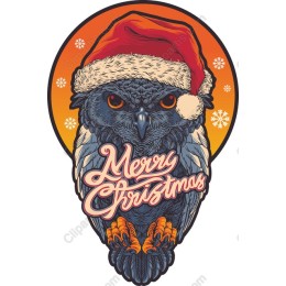 Merry Christmas Owl