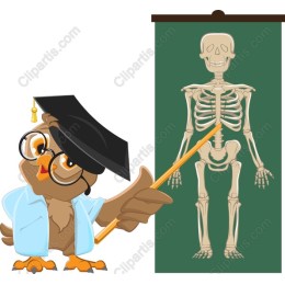 Wise Owl Educator