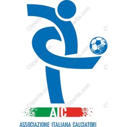 Dynamic Soccer - AIC