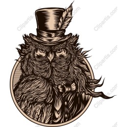 Dapper Owl