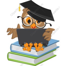 Graduation Owl