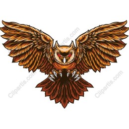 Majestic Owl