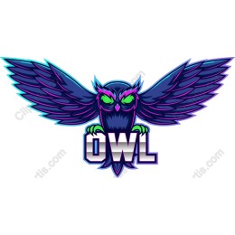 Vibrant Owl