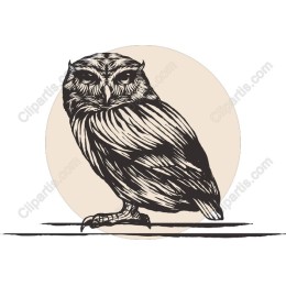 Majestic Owl