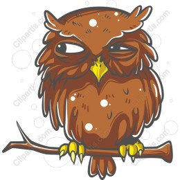 Quirky Owl