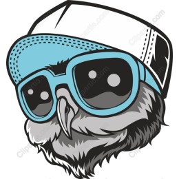 Chill Owl