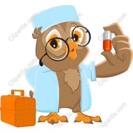 Wise Owl Doctor