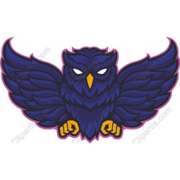 Fierce Owl