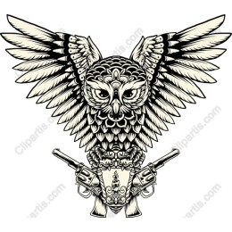 Owl with Guns