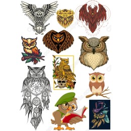 Owl Bundle - Unique and