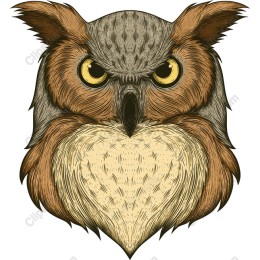 Majestic Owl