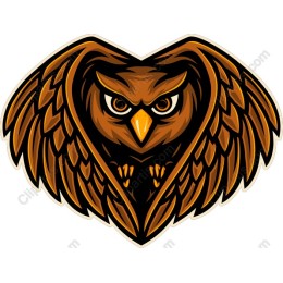 Heart of the Owl