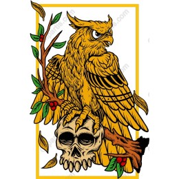 Majestic Owl and Skull