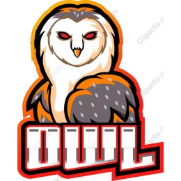 Owl - Wise & Vibrant