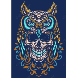 Owl Skull