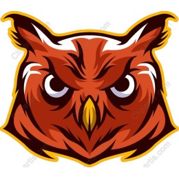 Fierce Owl Head