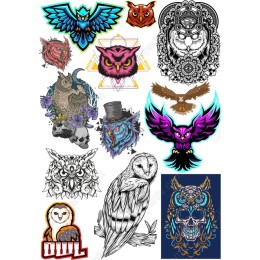 Owl and Bird Bundle