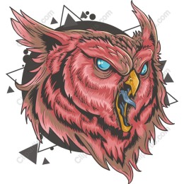 Vibrant Owl