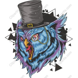 Dapper Owl