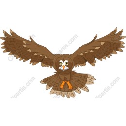Soaring Owl