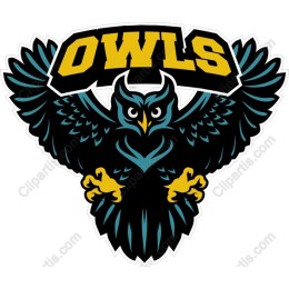 Owls Logo